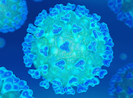 Coronavirus Covid-19 : suspension des visites